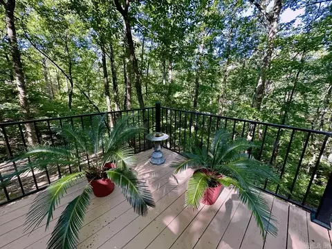 403 Hall St, Mount Ida, AR 71957 photo 29