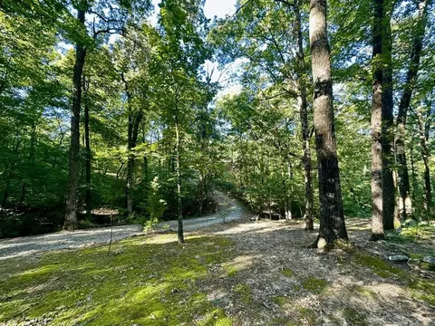 403 Hall St, Mount Ida, AR 71957 photo 36