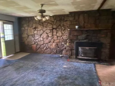 10065 E Hwy 254, Dennard, AR 72629 photo 5