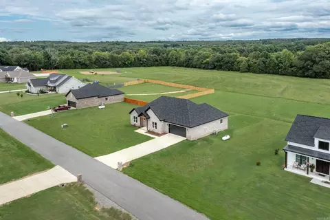 10 Bullet Davis Dr, Greenbrier, AR 72058 photo 4