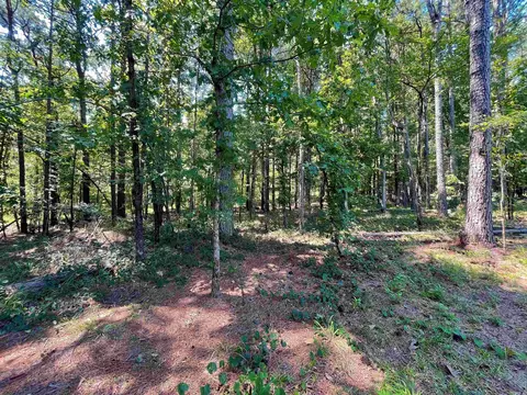 337 Reuben Dr, Alexander, AR 72002 photo 35