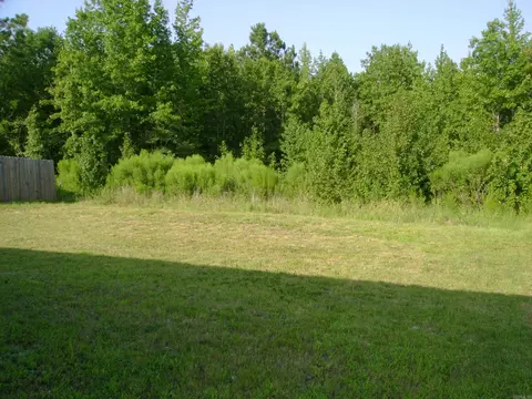 1048 Santa Fe Trl, Bauxite, AR 72011 photo 5
