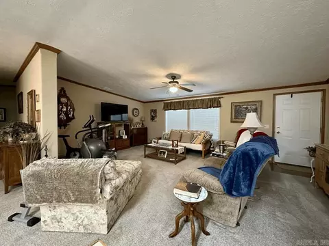 14 Barefoot Ln, Mount Ida, AR 71957 photo 45
