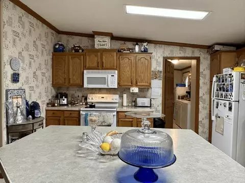 14 Barefoot Ln, Mount Ida, AR 71957 photo 35