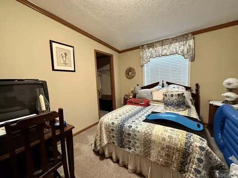 14 Barefoot Ln, Mount Ida, AR 71957 photo 44