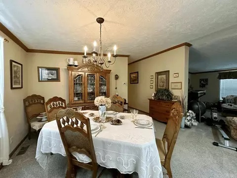 14 Barefoot Ln, Mount Ida, AR 71957 photo 40