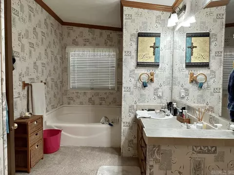 14 Barefoot Ln, Mount Ida, AR 71957 photo 38