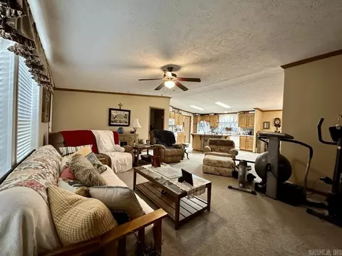 14 Barefoot Ln, Mount Ida, AR 71957 photo 46
