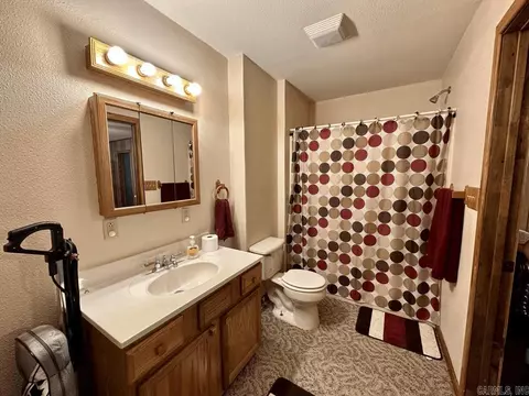 14 Barefoot Ln, Mount Ida, AR 71957 photo 50