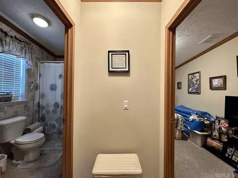 14 Barefoot Ln, Mount Ida, AR 71957 photo 42