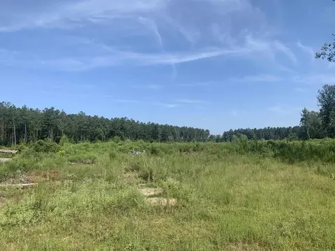 4048 E Whelen Rd, Gurdon, AR 71743 photo 2