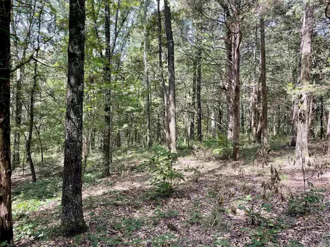 275 Adkisson, Mount Vernon, AR 72111 photo 14