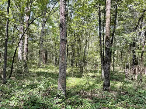 275 Adkisson, Mount Vernon, AR 72111 photo 23