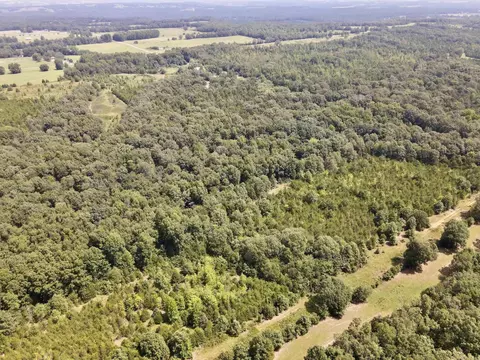 275 Adkisson, Mount Vernon, AR 72111 photo 41