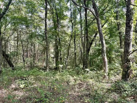 275 Adkisson, Mount Vernon, AR 72111 photo 33