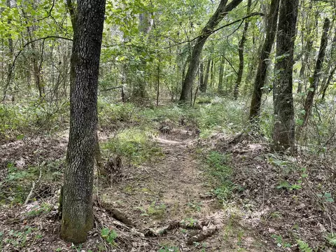 275 Adkisson, Mount Vernon, AR 72111 photo 36