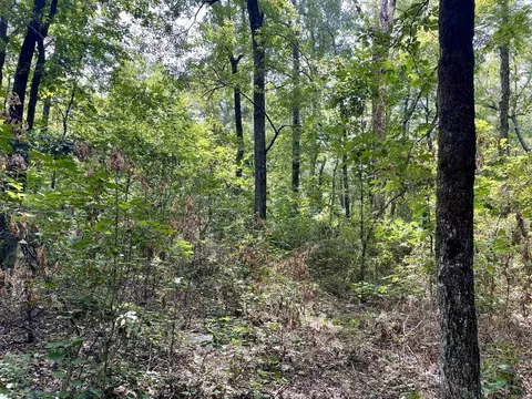 275 Adkisson, Mount Vernon, AR 72111 photo 40