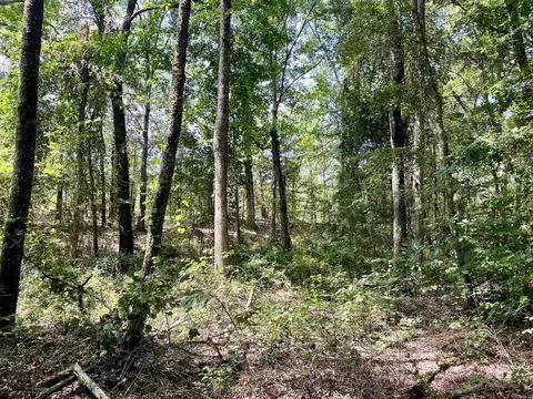 275 Adkisson, Mount Vernon, AR 72111 photo 34