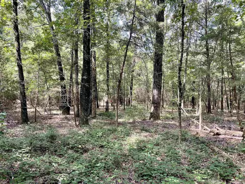 275 Adkisson, Mount Vernon, AR 72111 photo 22