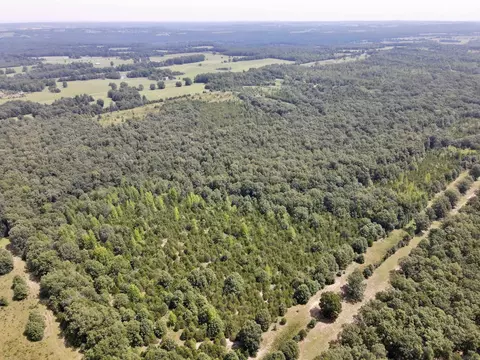 275 Adkisson, Mount Vernon, AR 72111 photo 44