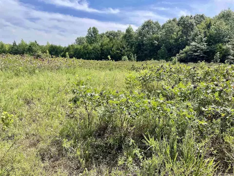 275 Adkisson, Mount Vernon, AR 72111 photo 20