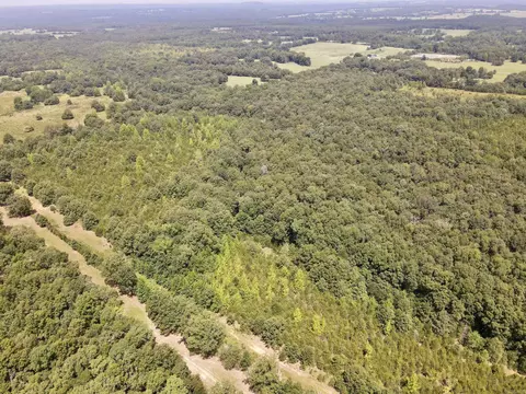 275 Adkisson, Mount Vernon, AR 72111 photo 42