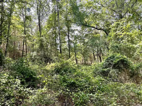 275 Adkisson, Mount Vernon, AR 72111 photo 31