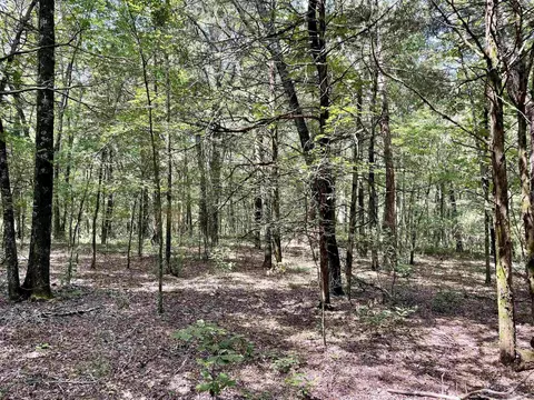 275 Adkisson, Mount Vernon, AR 72111 photo 39