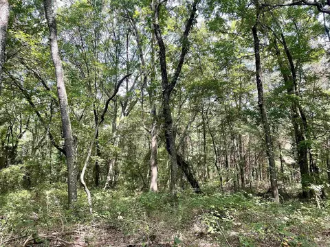 275 Adkisson, Mount Vernon, AR 72111 photo 32