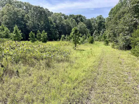 275 Adkisson, Mount Vernon, AR 72111 photo 21