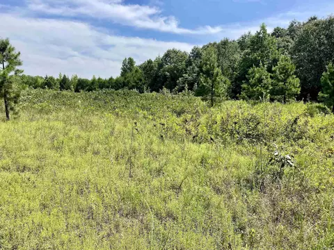 275 Adkisson, Mount Vernon, AR 72111 photo 19