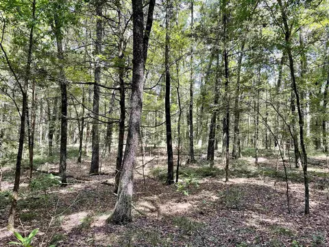 275 Adkisson, Mount Vernon, AR 72111 photo 13