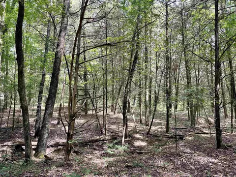 275 Adkisson, Mount Vernon, AR 72111 photo 38