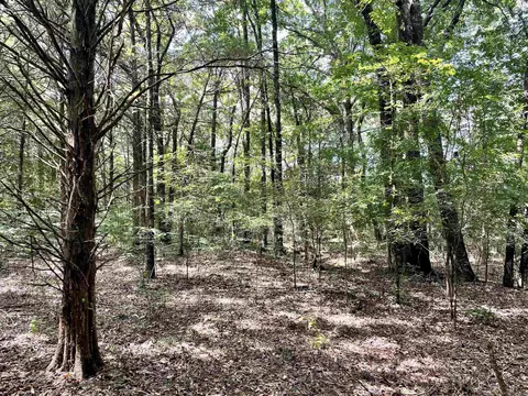 275 Adkisson, Mount Vernon, AR 72111 photo 30