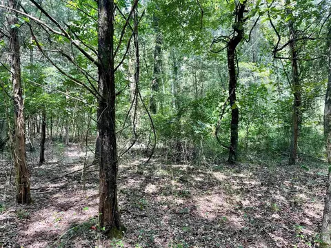 275 Adkisson, Mount Vernon, AR 72111 photo 29