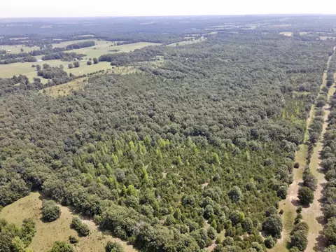 275 Adkisson, Mount Vernon, AR 72111 photo 45