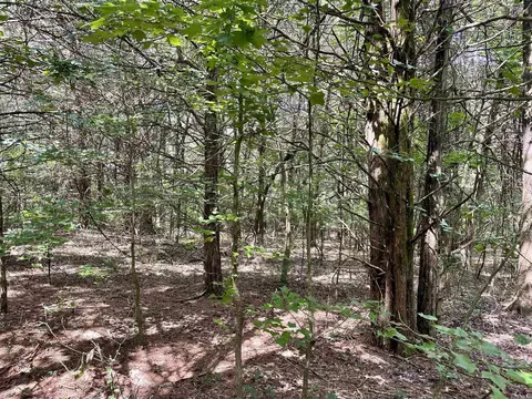 275 Adkisson, Mount Vernon, AR 72111 photo 26
