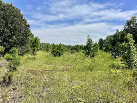 275 Adkisson, Mount Vernon, AR 72111 photo 18