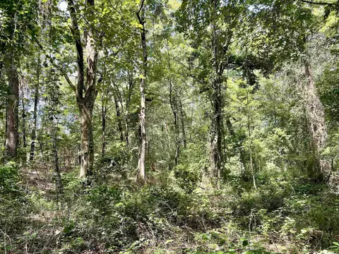 275 Adkisson, Mount Vernon, AR 72111 photo 35