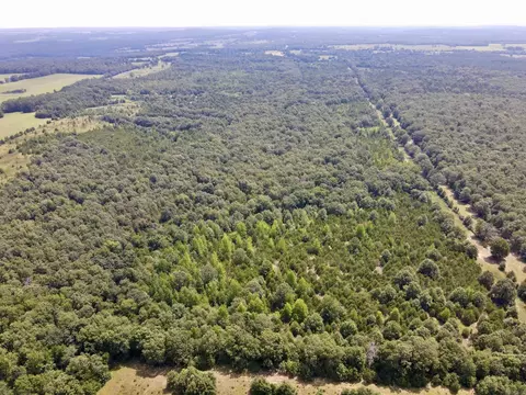 275 Adkisson, Mount Vernon, AR 72111 photo 46