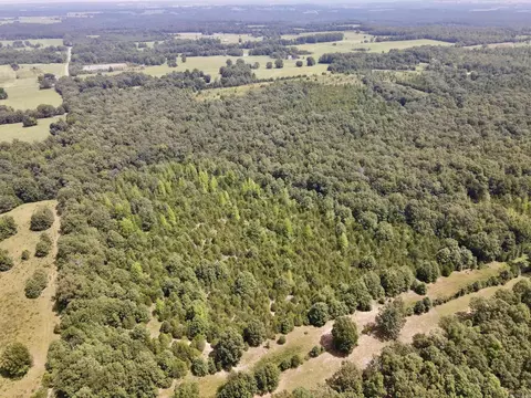 275 Adkisson, Mount Vernon, AR 72111 photo 43