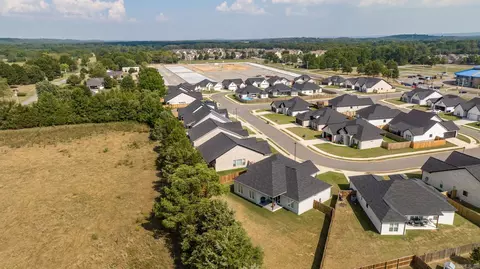 1685 Rohan Cir, Conway, AR 72032 photo 43
