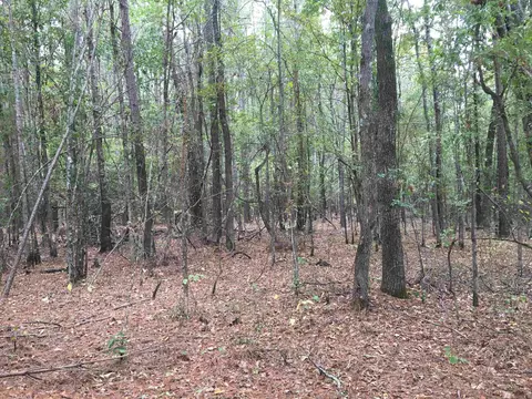 40 Acres Sulphur Springs Rd, Pine Bluff, AR 71603