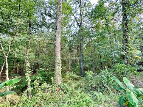 1310 Hart Dr, White Hall, AR 71602 photo 7