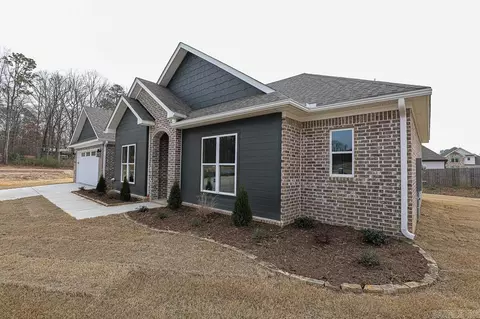166 Roman Heights Ave, Alexander, AR 72002 photo 5