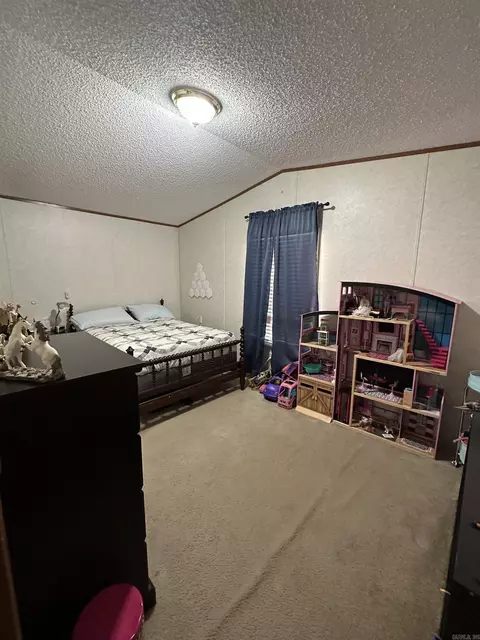 160 Cricket Loop, Royal, AR 71968 photo 23
