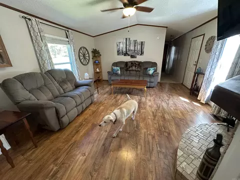 160 Cricket Loop, Royal, AR 71968 photo 5