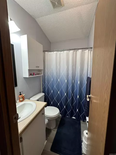 160 Cricket Loop, Royal, AR 71968 photo 22