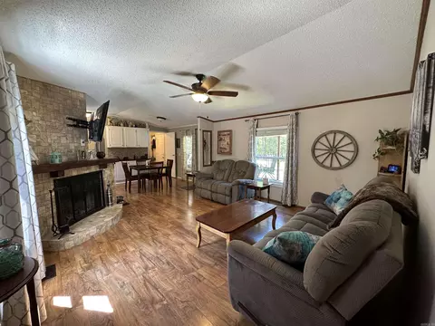 160 Cricket Loop, Royal, AR 71968 photo 6