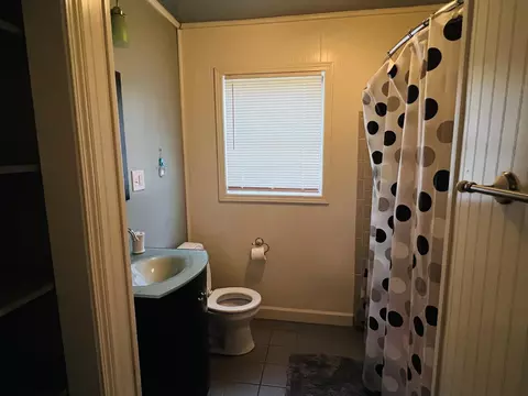 51 Pine St, Melbourne, AR 72556 photo 18